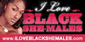 Visit ILoveBlackShemales.com